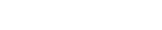 Raymarine